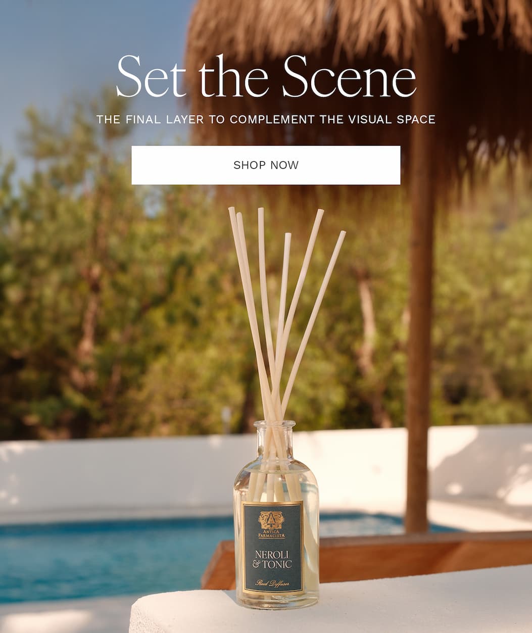 Your Guide to the World of Fragrance — Explore Now