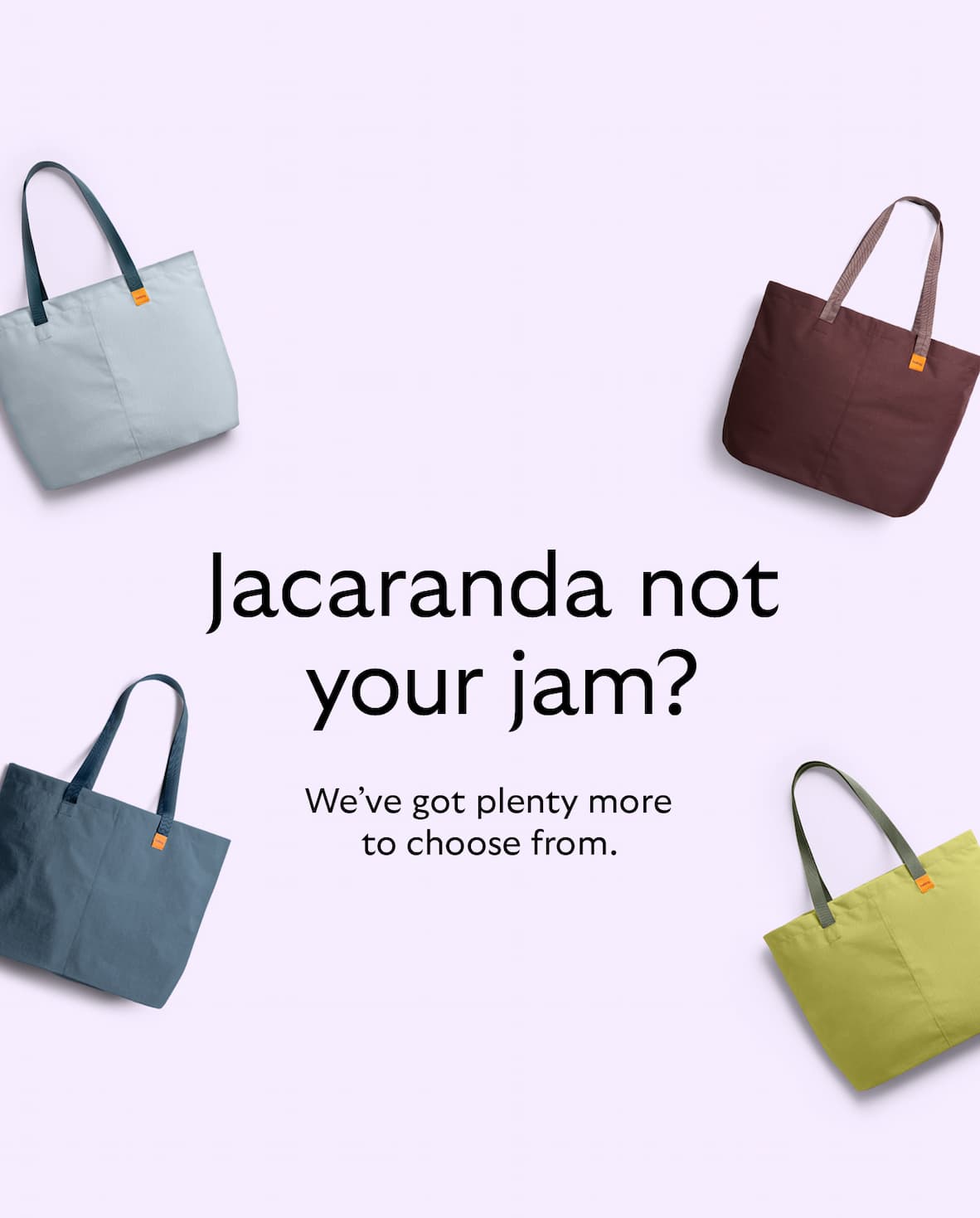 [Header] Jacaranda not your jam? [Blurb] We’ve got plenty more to choose from