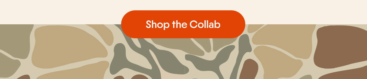 Shop the Free Fly x REEF Collab