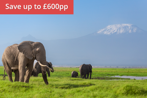 Treasures of Kenya & Tanzania