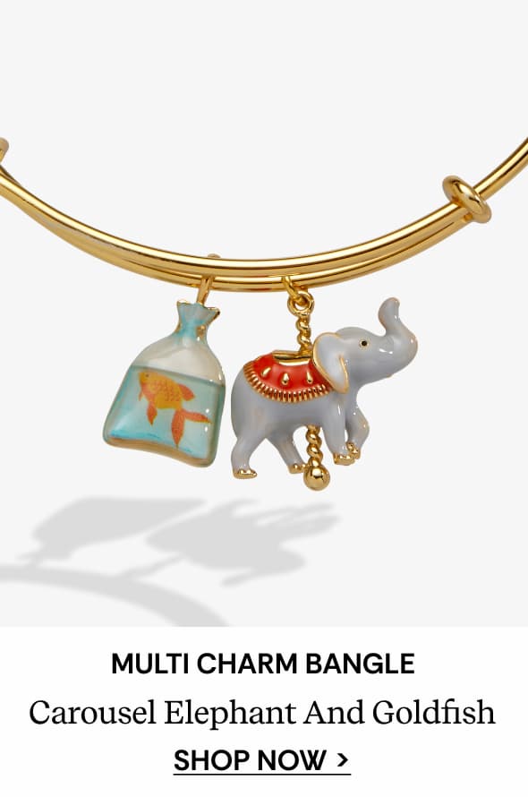 Carnival Carousel Elephant & Goldfish Multi Charm Bangle