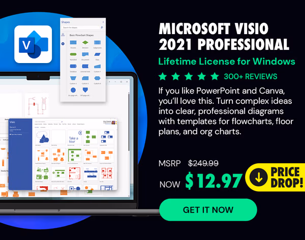 Microsoft Visio 2021 Professional: Lifetime License for Windows