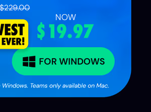 Microsoft Office Professional Plus 2019 for Windows | Lifetime License