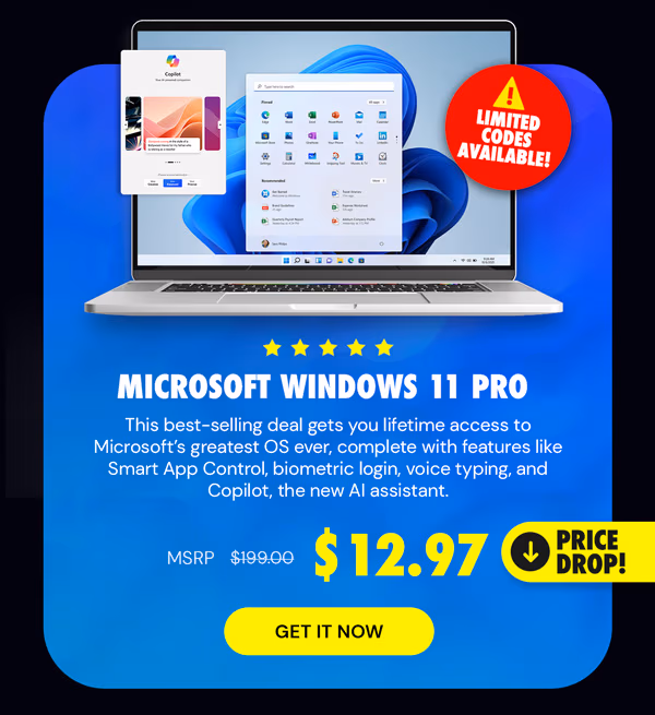 Microsoft Windows 11 Pro
