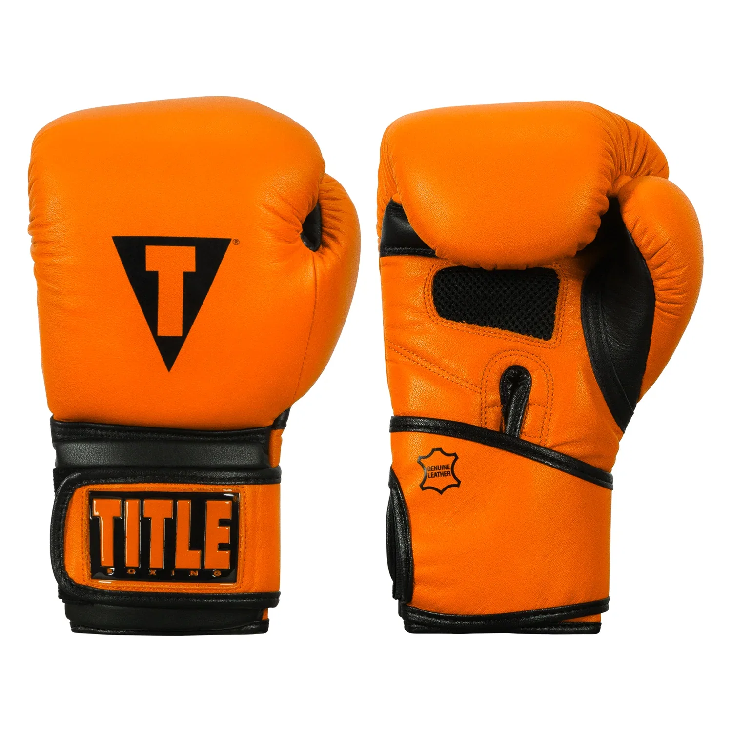 Image of TITLE BOXING DAUNTLESS TRAINING GLOVES