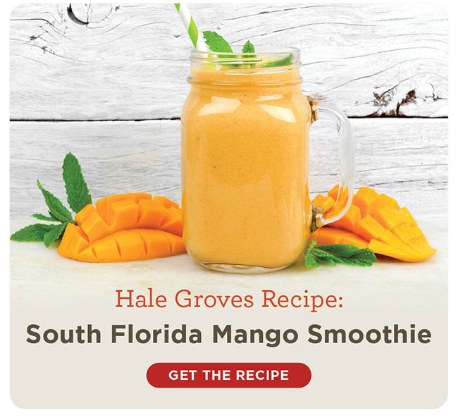 Hale Groves South Florida Mango Smoothie