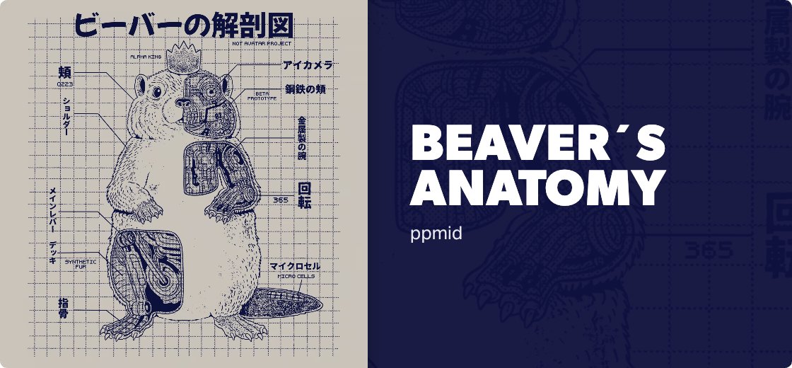 Beaver´s Anatomy — Detail
