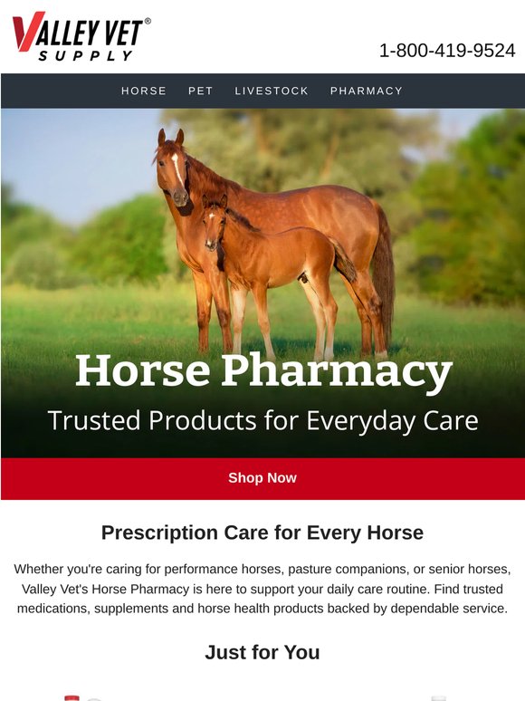Trusted Rx, Ready When You Need It