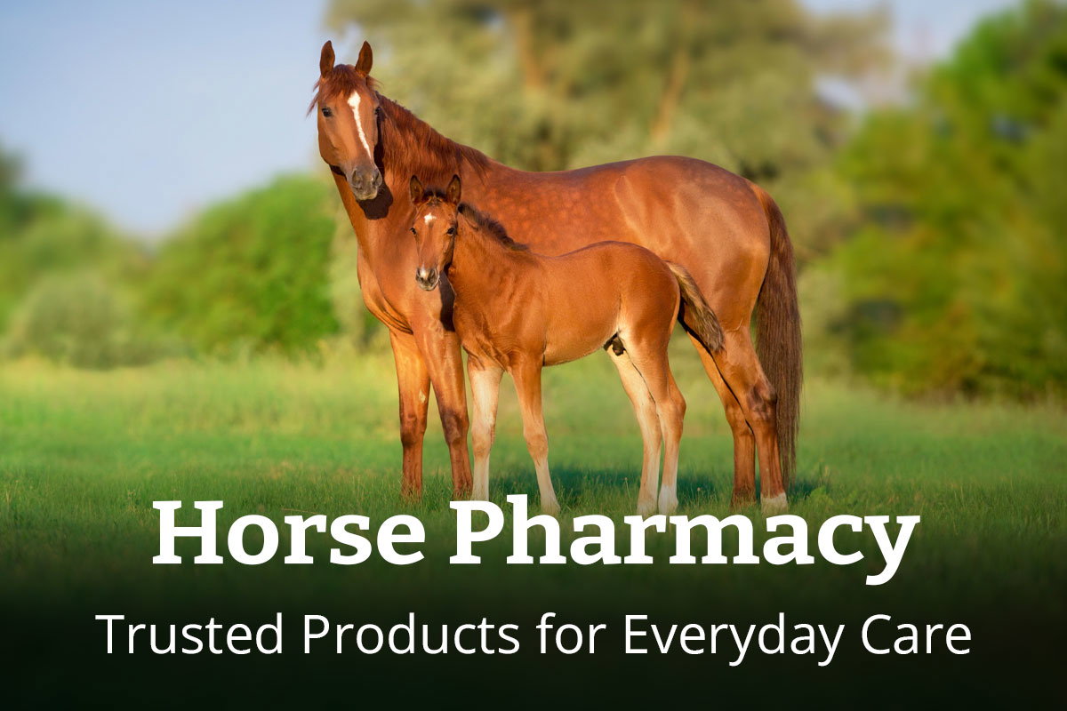 Horse Pharmacy - Trusted Products for Everyday Horse Care