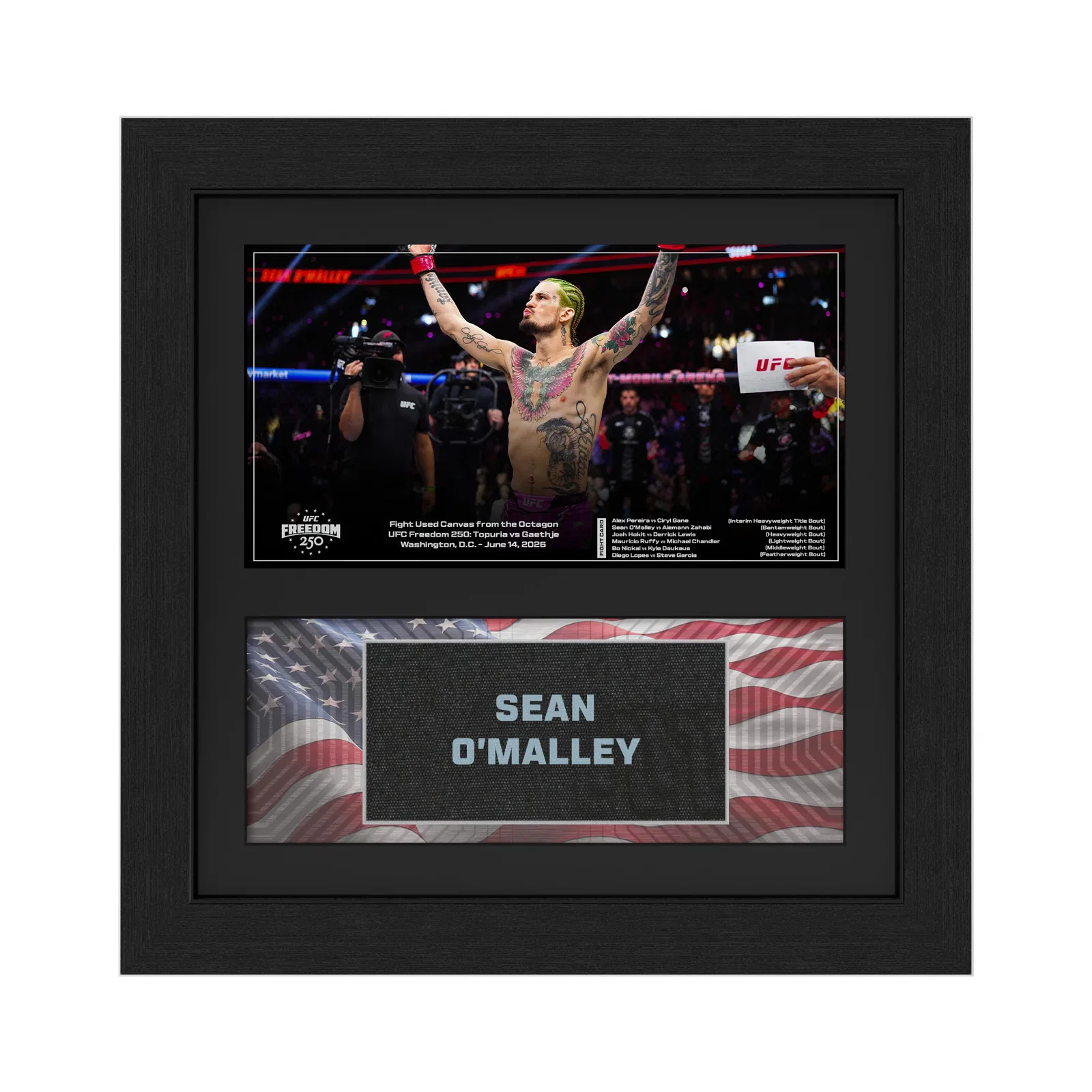 Image of Sean O’Malley Name on Canvas