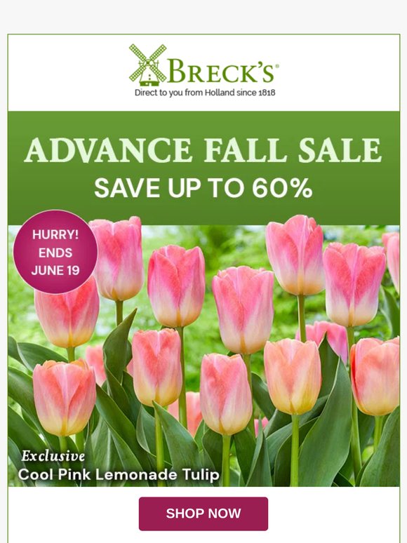 Save up to 60% Now, Enjoy Gorgeous Blooms Next Spring!