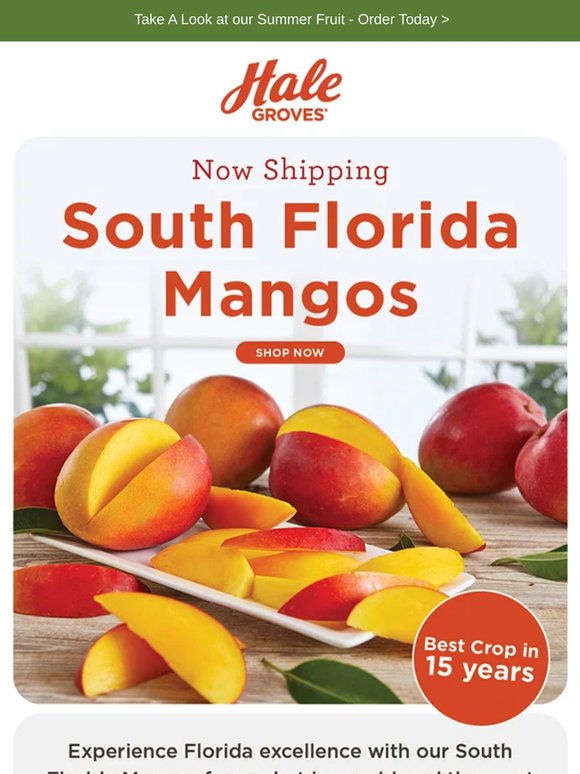 NOW SHIPPING: South Florida Mangos