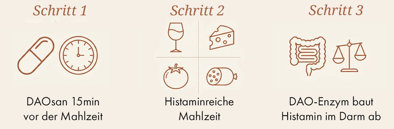 Wie DAOsan wirkt