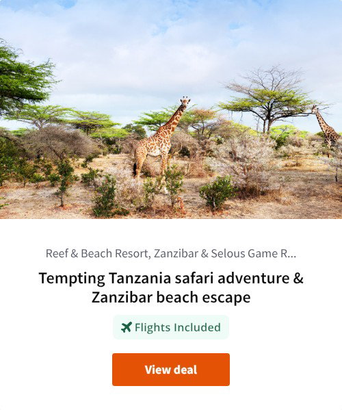 Tempting Tanzania safari adventure &amp; Zanzibar beach escape