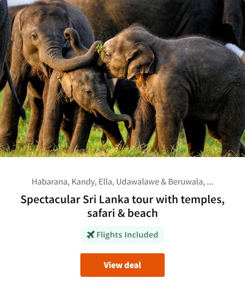 Spectacular Sri Lanka tour with temples, safari &amp; beach