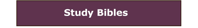 Study Bibles