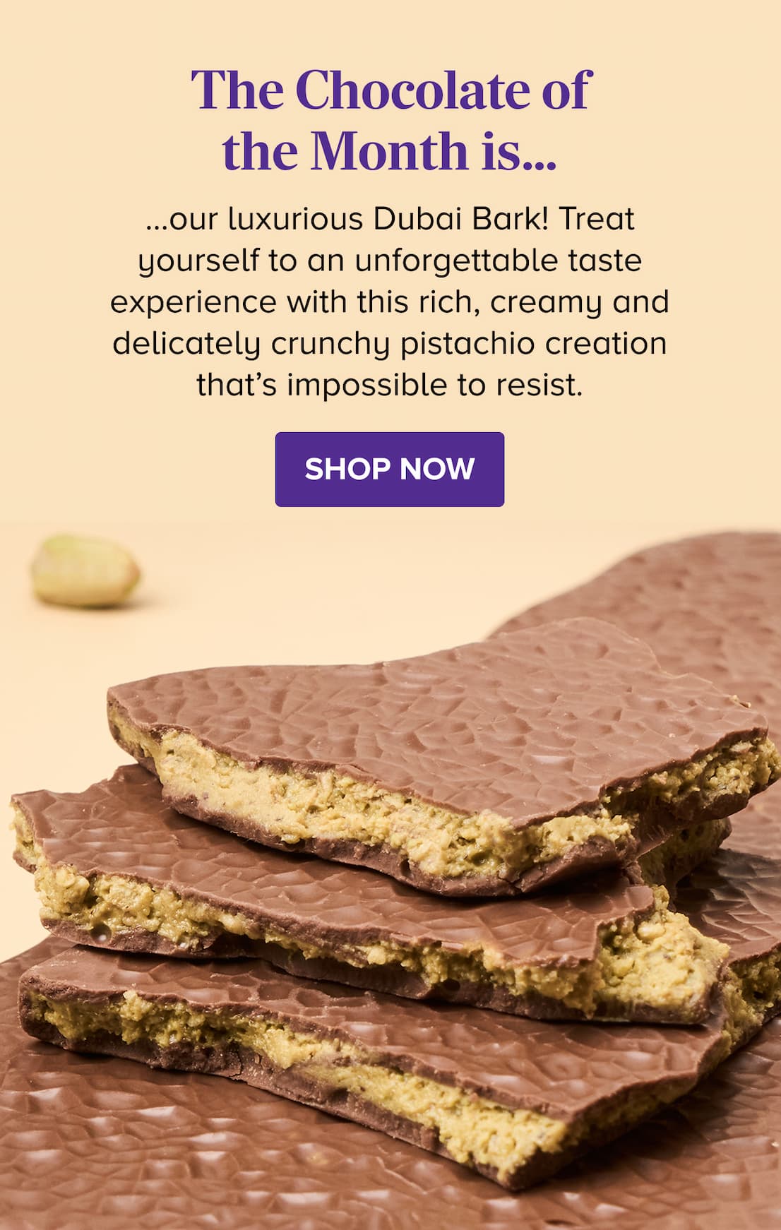 The Chocolate of the Month is our Golden Soccer Gift Tin! SHOP NOW