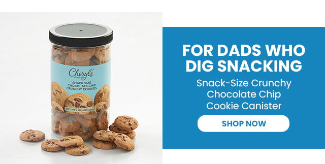 FOR DADS WHO DIG SNACKING - Snack-Size Crunchy Chocolate Chip Cookie Canister