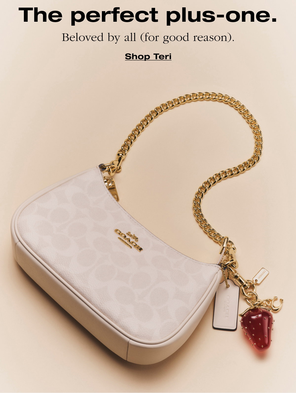 The perfect plus-one. Beloved by all (for good reason). Shop Teri