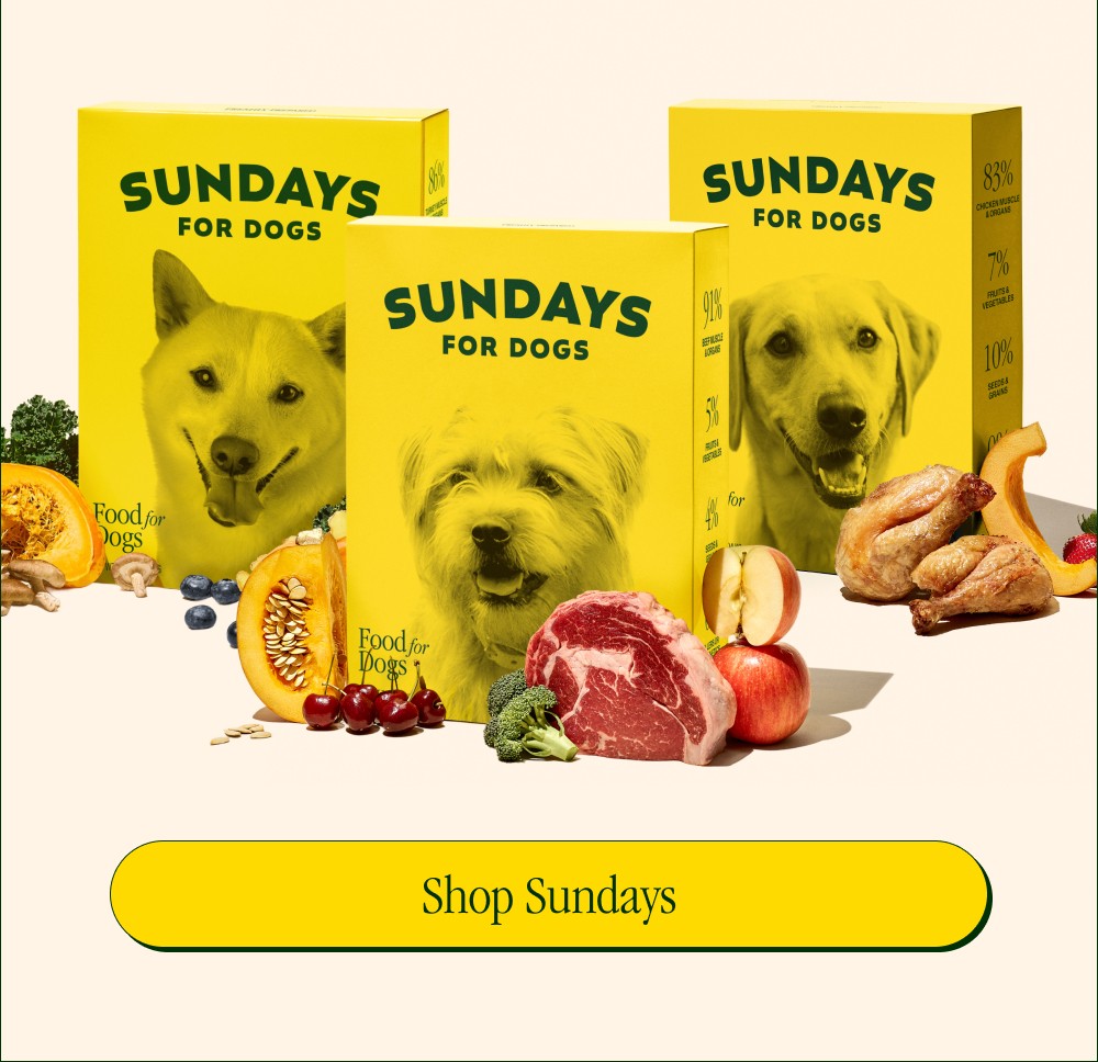 Nutrition That Works as Hard as They Do Vet-founded by Dr. Tory, with the mission of providing dogs (service or otherwise) with the nutrition they...