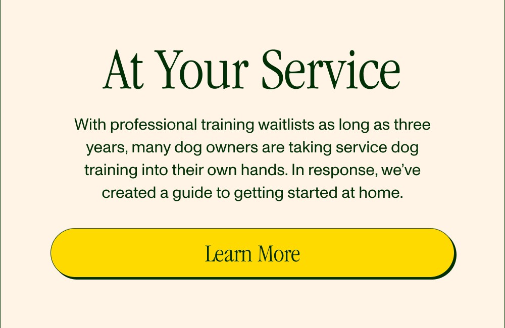 At Your Service With professional training waitlists as long as three years, many dog owners are taking service dog training into their own hands....