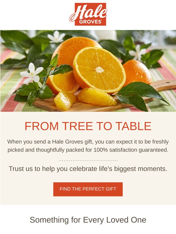 Looking for the Perfect Gift? 🍊