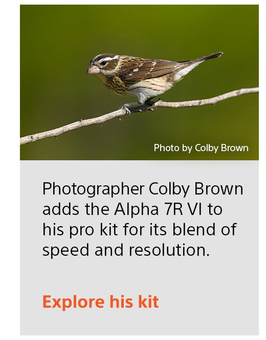 Photographer Colby Brown adds the Alpha 7R VI to his pro kit for its blend of speed and resolution. Explore his kit