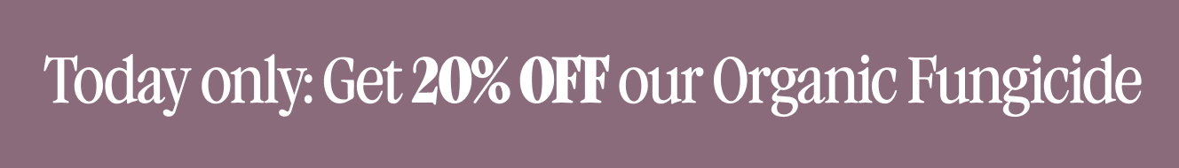 Today only: Get 20% OFF our Organic Fungicide