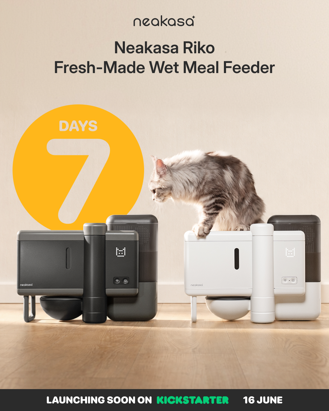 7 days countdowm-neakasa riko