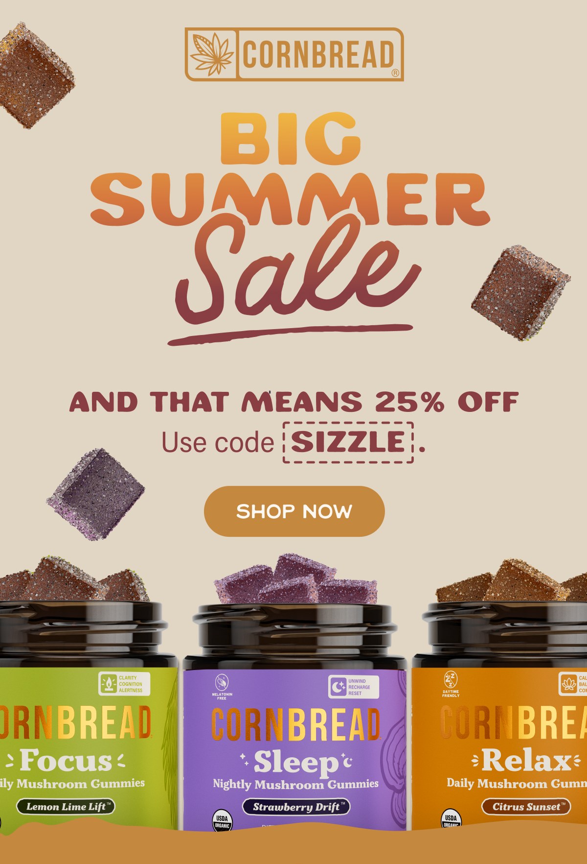 Big Summer Sale: 25% off sitewide