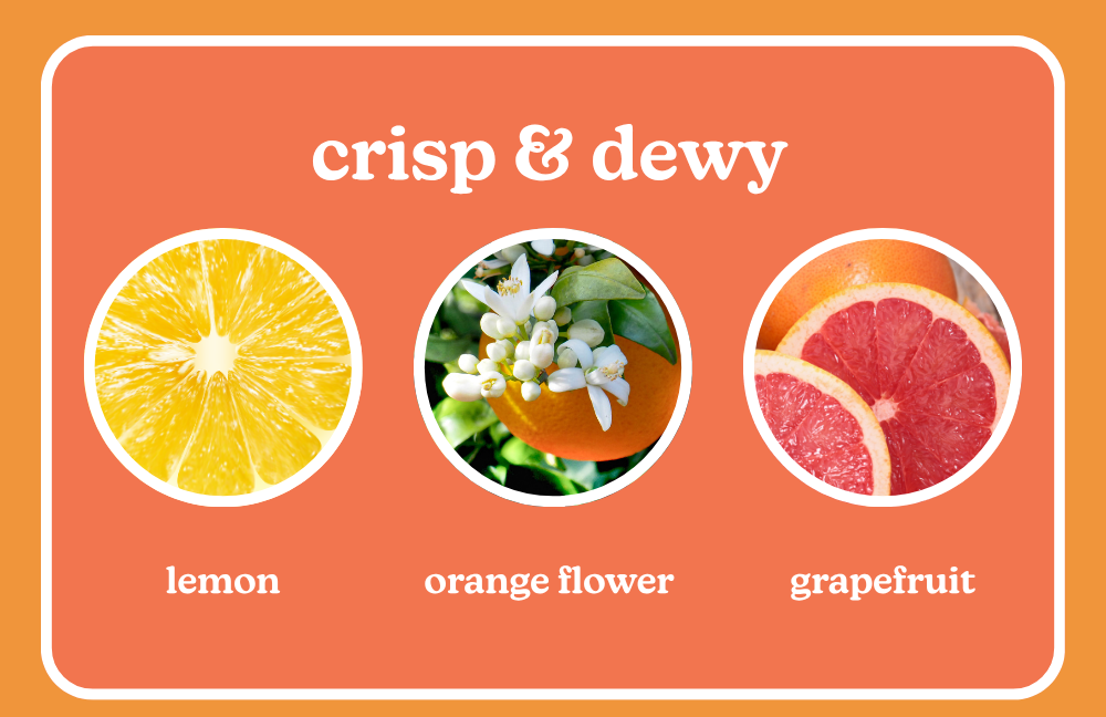 crisp & dewy. lemon, orange flower, grapefruit. 