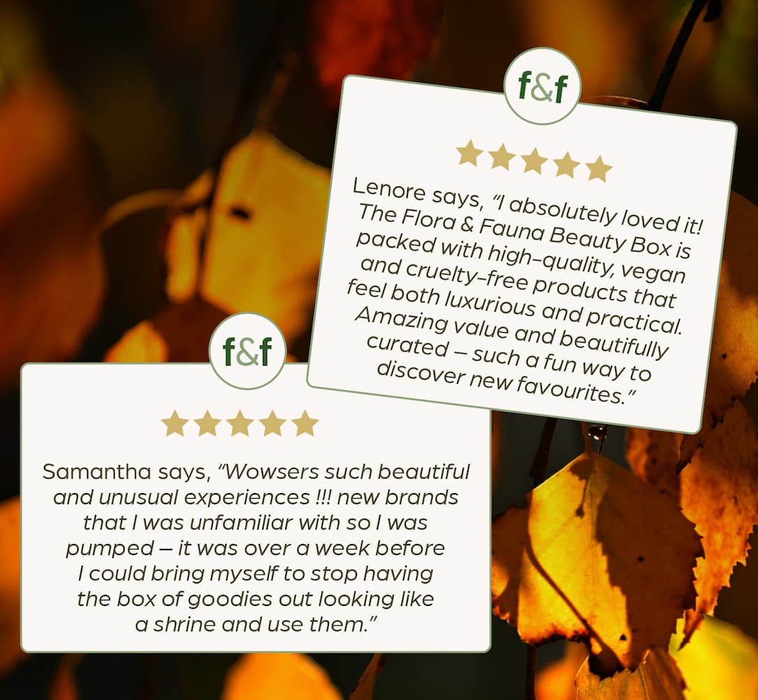 Winter Beauty Box reviews "I absolutely loved it" Lenore