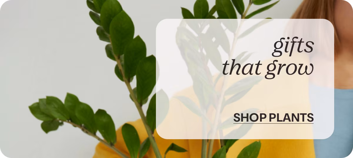 gifts that grow - SHOP PLANTS »