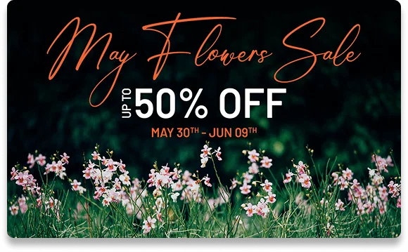 May Flowers Sale! Up to 50% Off