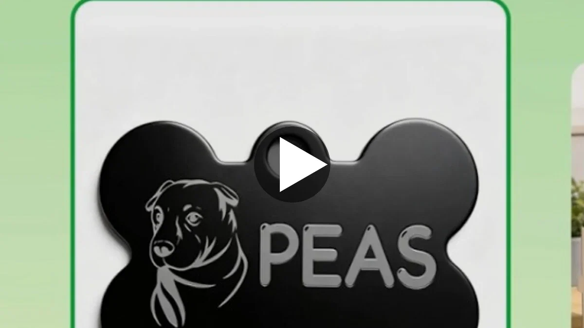 Watch a TYVOK P2 pet tag engraving video