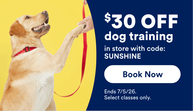 $30 OFF dog training in store with code: SUNSHINE Book Now! Ends 7/5/26. Select classes only.