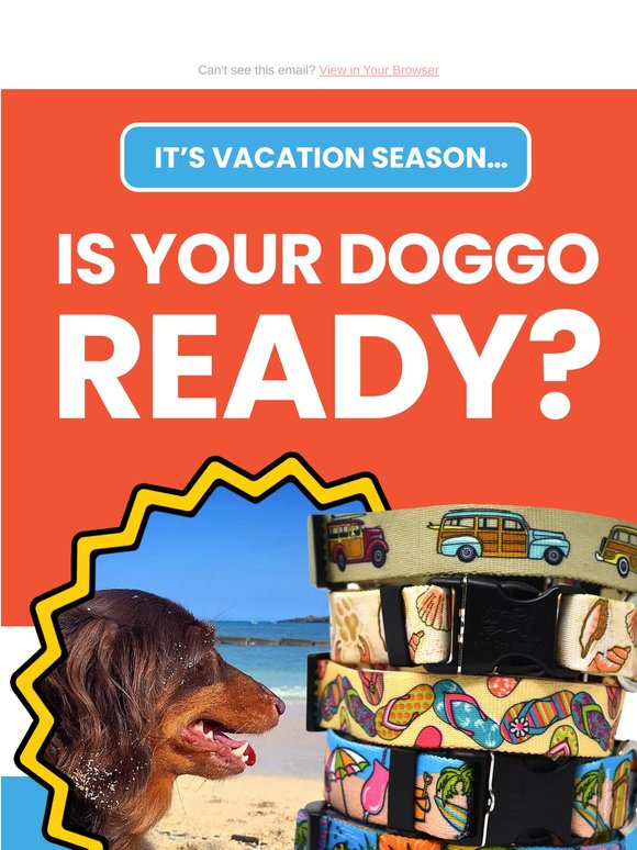 Prepare Your Pup For Beach Season 🏖
