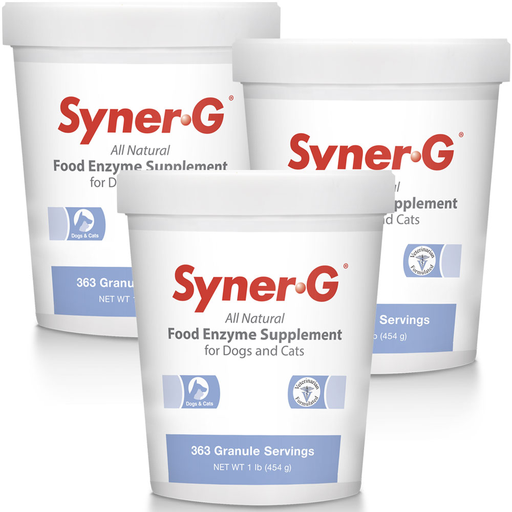 Image of Syner-G Digestive Enzymes Granules (1362 g) 3-Pack