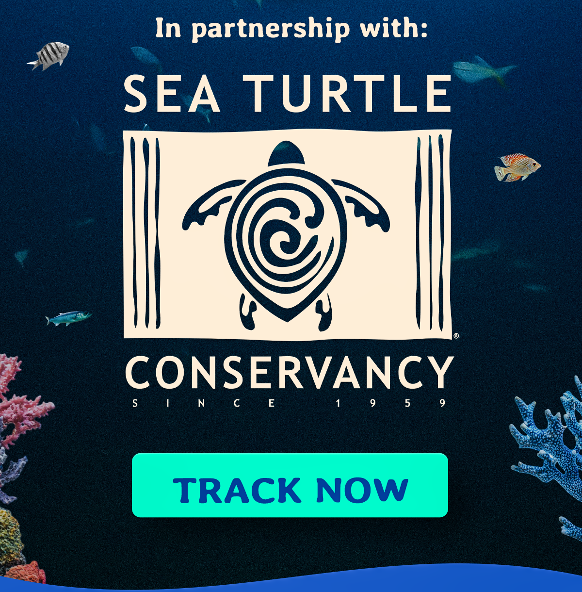 In partnership with: Sea Turtle Conservancy! Track a sea turtle today! Fahlo donates 10% of net profits to our nonprofit wildlife conservation partners.