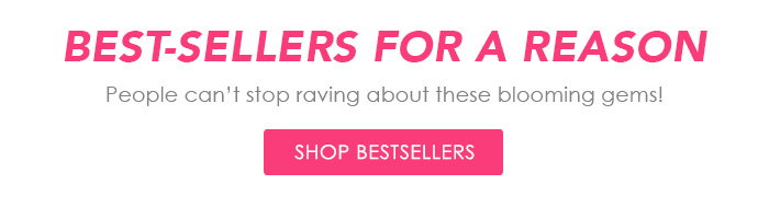 Shop Best Sellers
