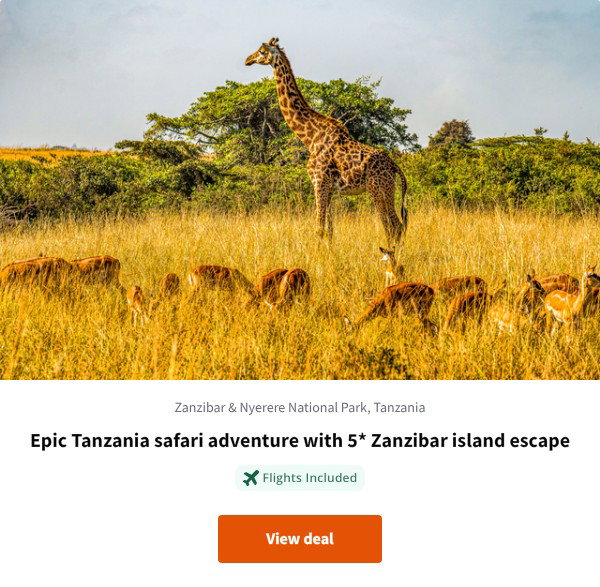 Epic Tanzania safari adventure with 5* Zanzibar island escape