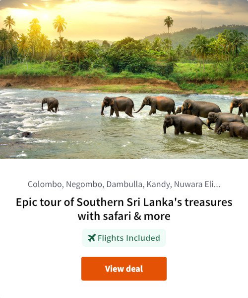 Epic tour of Southern Sri Lanka's treasures with safari &amp; more