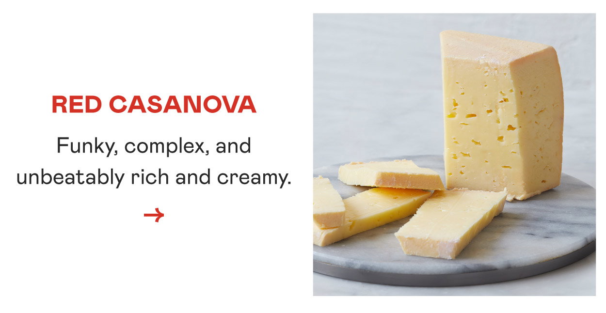 Red Casanova​