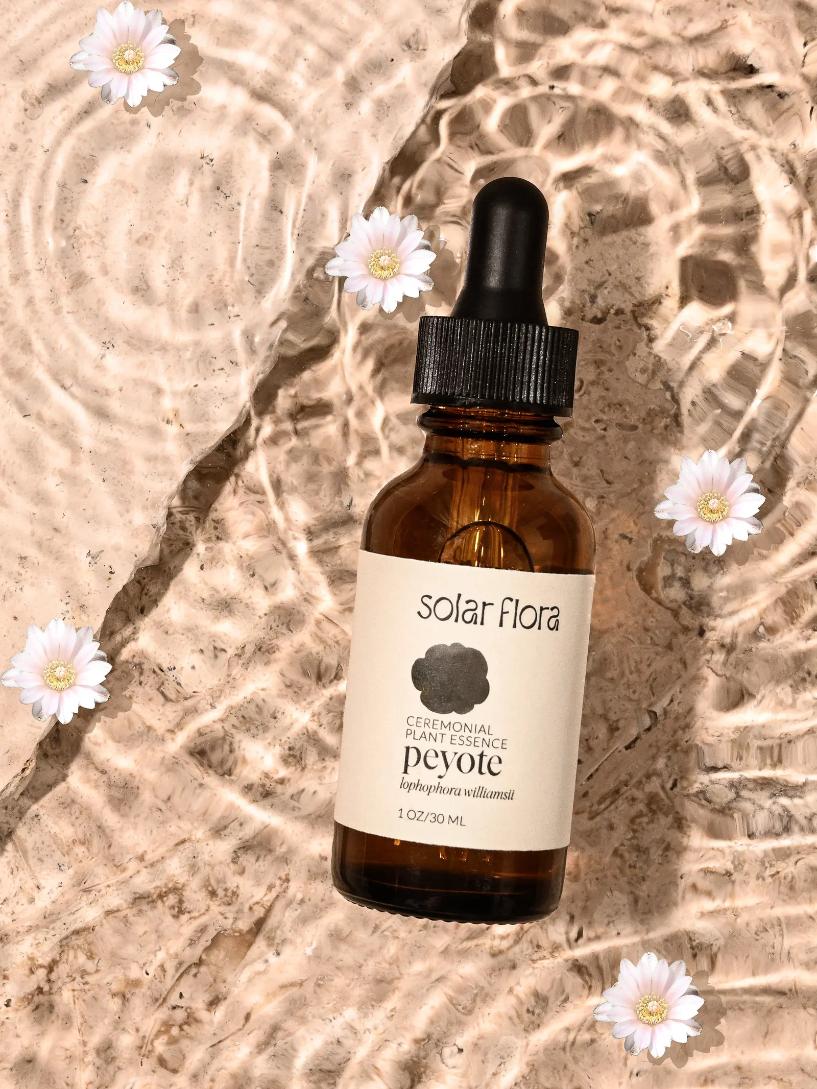 Image of Ceremonial Plant Essence: Peyote