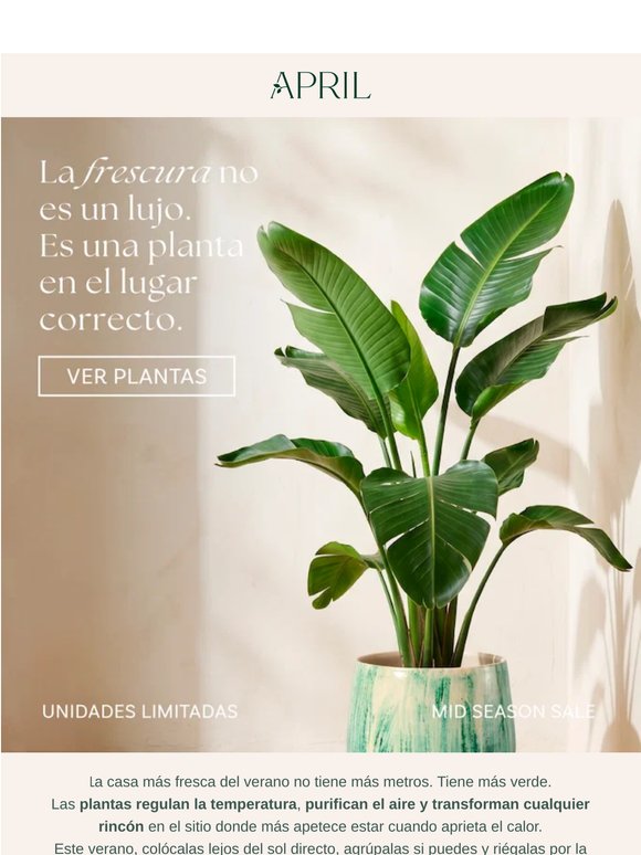 La frescura no es un lujo