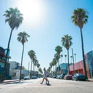 The Ultimate Guide to Los Angeles