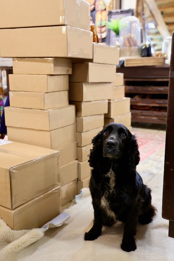 Bumble checking orders