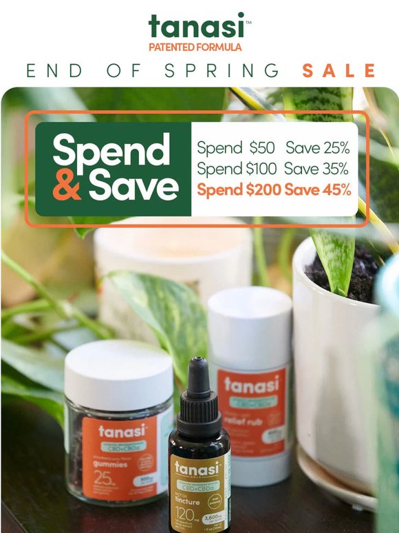 Spring Cleaning Sale 🌱 Save BIG