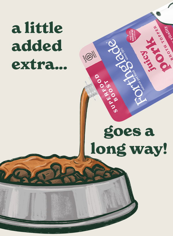 NEW! Bone Broth Toppers