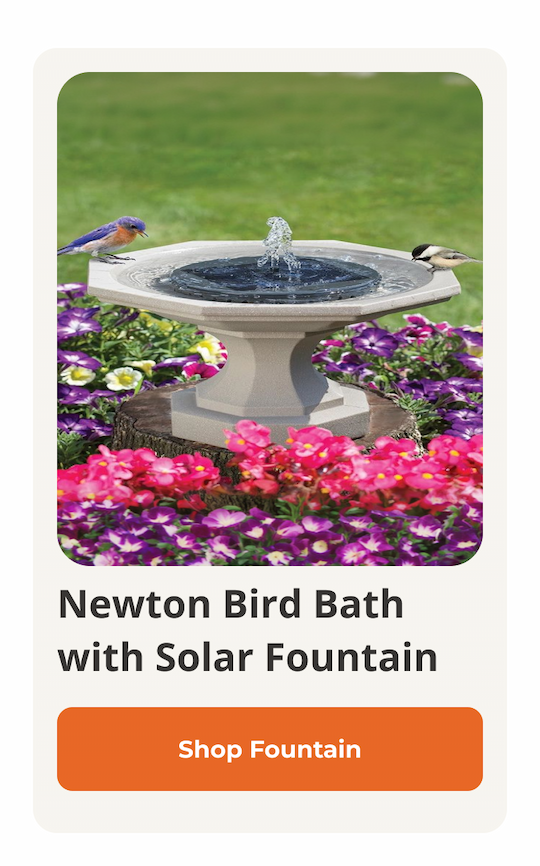 Sand Newton Bird Bath with Solar Fountain
